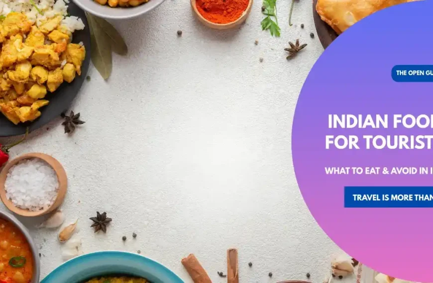 Indian Food for Tourists