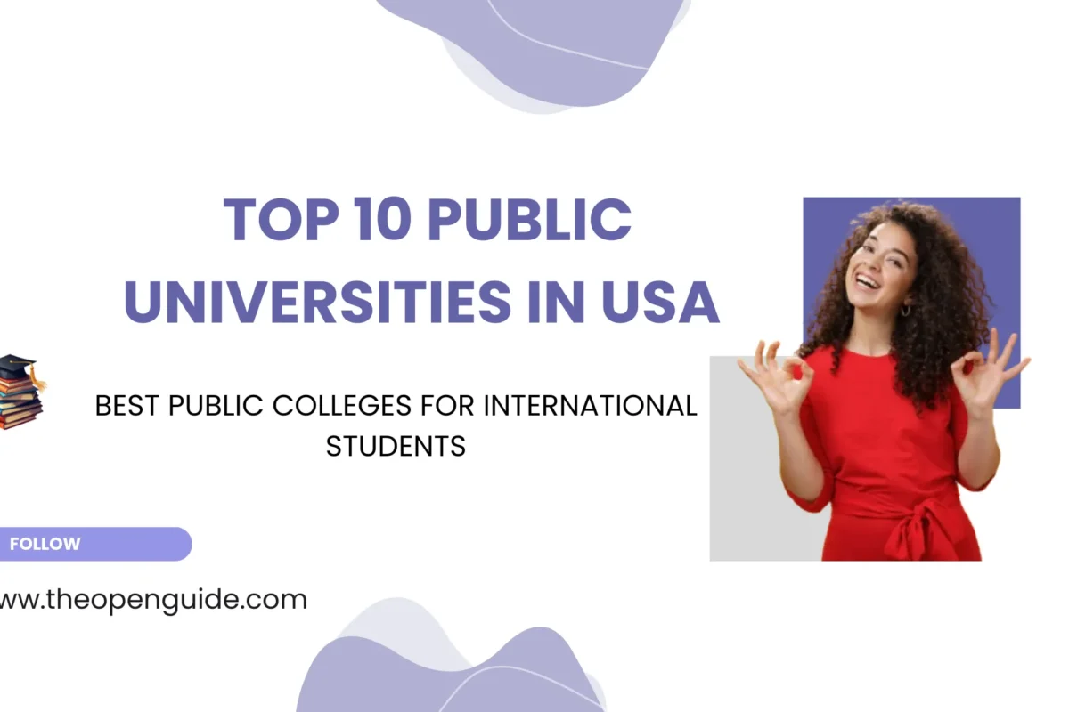 top 10 public universities in USA