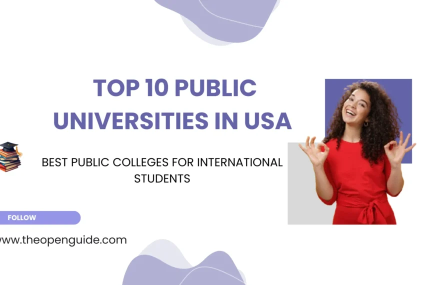 top 10 public universities in USA